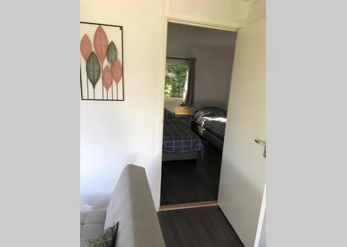 Have A Stay! - De Schelp Op Rustig Park Noordwijk